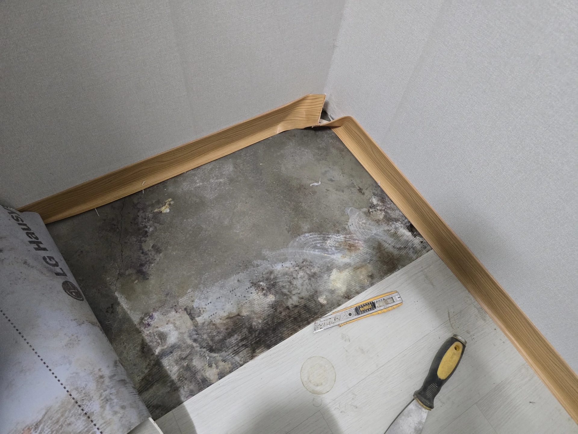 누수 현장에서 장판과 보호지를 걷어 낸 바닥 아래 콘크리트에 곰팡이와 얼룩이 번진 모습